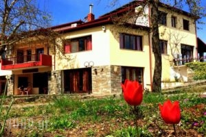 Evridiki_best prices_in_Hotel_Macedonia_Imathia_Vergina