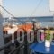 Hera's House_best deals_Hotel_Aegean Islands_Samos_Pythagorio