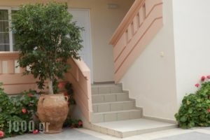 Babis Apartments_best deals_Apartment_Crete_Chania_Platanias