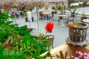 Kamarela Studios_best prices_in_Hotel_Cyclades Islands_Sandorini_kamari