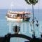 Green Velvet Hotel_best prices_in_Hotel_Aegean Islands_Thassos_Thassos Chora