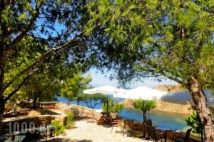 Volissos Holiday Homes Boutique Hotel_accommodation_in_Hotel_Aegean Islands_Chios_Chios Rest Areas