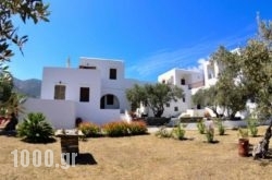 Faneromeni Apartments & Rooms in Sifnos Chora, Sifnos, Cyclades Islands