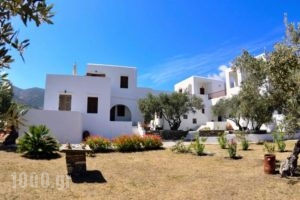 Faneromeni Apartments & Rooms_accommodation_in_Room_Cyclades Islands_Sifnos_Sifnos Chora