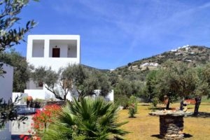 Faneromeni Apartments & Rooms_best deals_Room_Cyclades Islands_Sifnos_Sifnos Chora