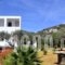 Faneromeni Apartments & Rooms_best deals_Room_Cyclades Islands_Sifnos_Sifnos Chora