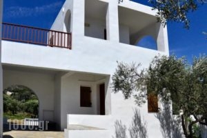 Faneromeni Apartments & Rooms_best prices_in_Room_Cyclades Islands_Sifnos_Sifnos Chora