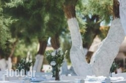 Beach House Antiparos in Karpathos Chora, Karpathos, Dodekanessos Islands
