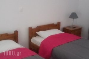 Dimitra Apartments_lowest prices_in_Apartment_Macedonia_Halkidiki_Haniotis - Chaniotis
