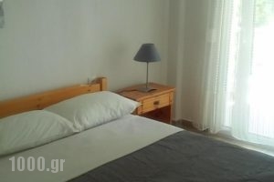 Dimitra Apartments_best prices_in_Apartment_Macedonia_Halkidiki_Haniotis - Chaniotis