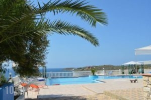 Clio Apartments_holidays_in_Apartment_Crete_Chania_Platanias