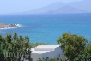 spitakia naxos_holidays_in_Hotel_Cyclades Islands_Paros_Piso Livadi