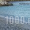 Zacharoula Rooms_best deals_Room_Aegean Islands_Ikaria_Raches