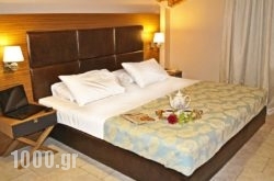 Hotel Plessas Palace in Malia, Heraklion, Crete