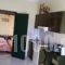 Elektra Apartments & Studios_best deals_Apartment_Aegean Islands_Lesvos_Petra