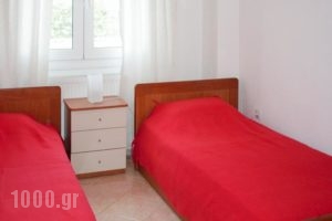 Apartment Zorba_lowest prices_in_Apartment_Macedonia_Thessaloniki_Thessaloniki City