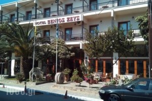 Hotel Xenios Zeus_accommodation_in_Hotel_Macedonia_Halkidiki_Ierissos