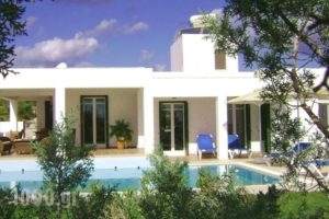 Villa Chevalier_holidays_in_Villa_Dodekanessos Islands_Rhodes_Rhodes Areas