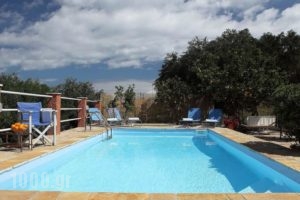 Bonzai Studios_holidays_in_Hotel_Ionian Islands_Paxi_Paxi Chora