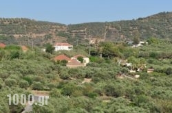 Eirini Villa in Kolympari, Chania, Crete