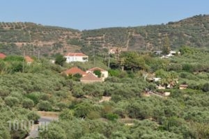 Eirini Villa_travel_packages_in_Crete_Chania_Kolympari