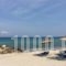 Kristy's Apartments_travel_packages_in_Macedonia_Halkidiki_Kassandreia