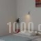 Viaros Apartments_best deals_Apartment_Crete_Chania_Platanias