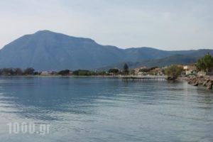 Hotel Antirrio_best prices_in_Hotel_Central Greece_Aetoloakarnania_Antirio