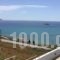 The Grand Beach House_best deals_Hotel_Central Greece_Evia_Karystos