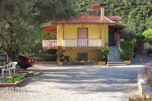 O Petros_holidays_in_Hotel_Peloponesse_Arcadia_Kosmas