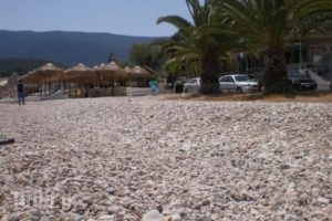 Areto Apartments_best prices_in_Apartment_Peloponesse_Argolida_Nafplio