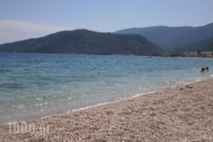 Areto Apartments_best deals_Apartment_Peloponesse_Argolida_Nafplio