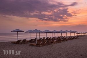 Dinos Studios_best prices_in_Hotel_Ionian Islands_Zakinthos_Zakinthos Rest Areas