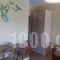 Leonidas_best deals_Hotel_Thessaly_Magnesia_Almiros