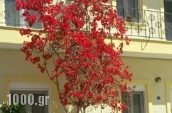 Old town apartment in Ierapetra, Lasithi, Crete