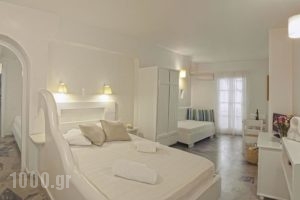 Glaros Studios_lowest prices_in_Hotel_Cyclades Islands_Naxos_Naxos Chora