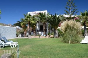 Asteri Hotel_lowest prices_in_Hotel_Dodekanessos Islands_Patmos_Skala