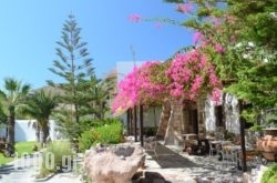 Asteri Hotel in Skala, Patmos, Dodekanessos Islands