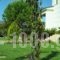 Villa Komfort_best deals_Villa_Ionian Islands_Zakinthos_Zakinthos Rest Areas