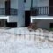 Georgoudi Apartments_accommodation_in_Apartment_Macedonia_Halkidiki_Nikiti