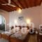 Studios Avra_best deals_Room_Cyclades Islands_Mykonos_Tourlos