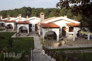 Apolithomeno Dasos Holiday Villas_accommodation_in_Villa_Thraki_Evros_Soufli