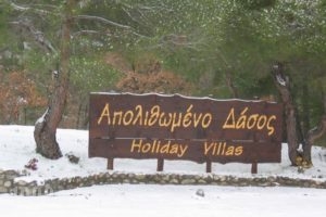 Apolithomeno Dasos Holiday Villas_best deals_Villa_Thraki_Evros_Soufli