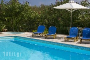 Irena Studios & Apartments_holidays_in_Apartment_Ionian Islands_Kefalonia_Vlachata