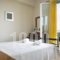 Irena Studios & Apartments_best deals_Apartment_Ionian Islands_Kefalonia_Vlachata