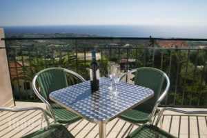 Irena Studios & Apartments_lowest prices_in_Apartment_Ionian Islands_Kefalonia_Vlachata