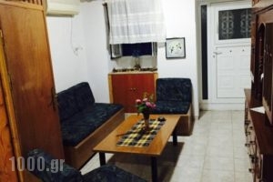 Apartment Maniakos_accommodation_in_Apartment_Aegean Islands_Samos_Pythagorio