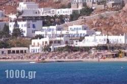 Pelagos Studios in Platys Gialos, Mykonos, Cyclades Islands