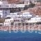 Pelagos Studios_accommodation_in_Hotel_Cyclades Islands_Mykonos_Platys Gialos