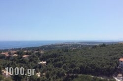 Villa Isida in Paros Rest Areas, Paros, Cyclades Islands
